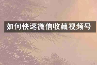 如何快速微信收藏视频号