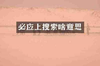 必应上搜索啥意思
