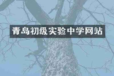 青岛初级实验中学网站
