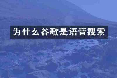 为什么谷歌是语音搜索