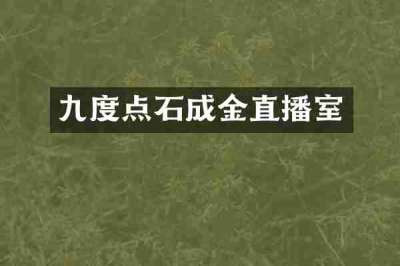 九度点石成金直播室