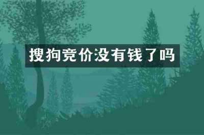搜狗竞价没有钱了吗