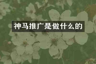 神马推广是做什么的