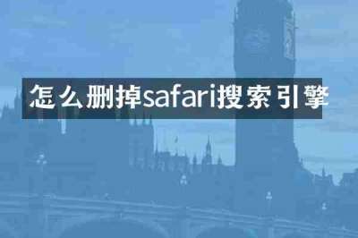 怎么删掉safari搜索引擎