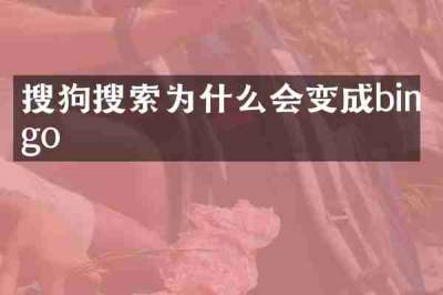 搜狗搜索为什么会变成bingo