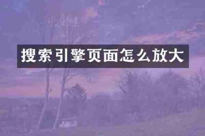 搜索引擎页面怎么放大