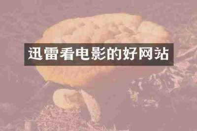 迅雷看电影的好网站