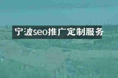 宁波seo推广定制服务