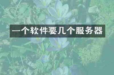 一个软件要几个服务器