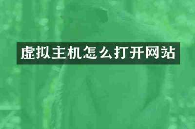 虚拟主机怎么打开网站