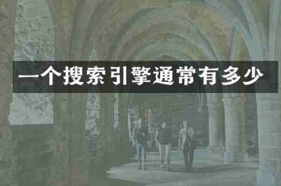 一个搜索引擎通常有多少