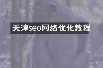 天津seo网络优化教程