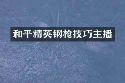和平精英钢枪技巧主播