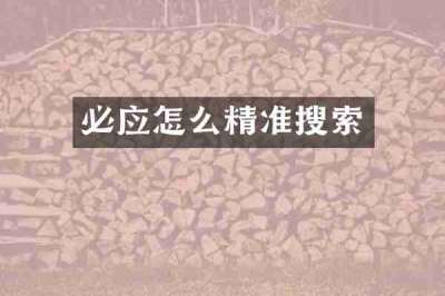 必应怎么精准搜索