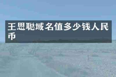 王思聪域名值多少钱人民币
