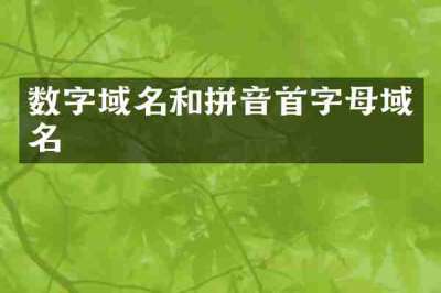 数字域名和拼音首字母域名