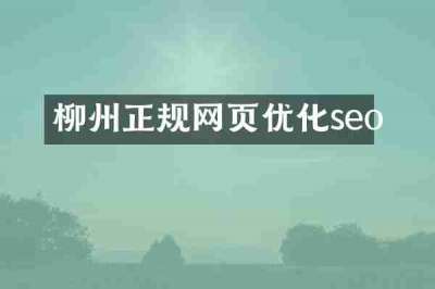 柳州正规网页优化seo