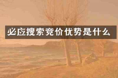 必应搜索竞价优势是什么