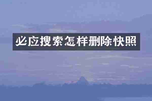 必应搜索怎样删除快照