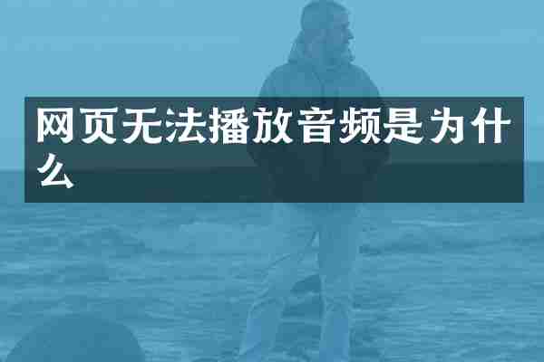 网页无法播放音频是为什么