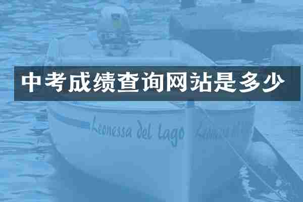 中考成绩查询网站是多少
