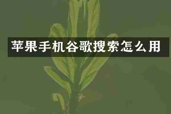 苹果手机谷歌搜索怎么用