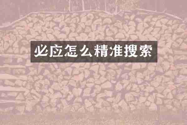 必应怎么精准搜索