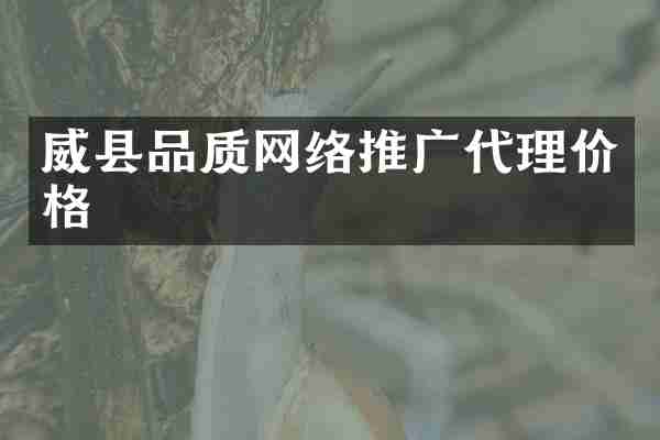 威县品质网络推广代理价格