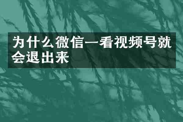 为什么微信一看视频号就会退出来