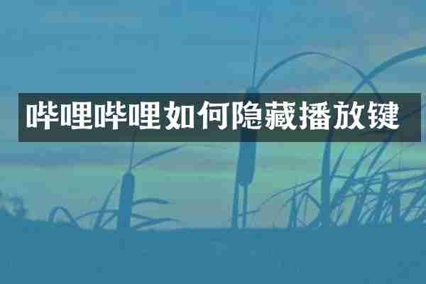 哔哩哔哩如何隐藏播放键
