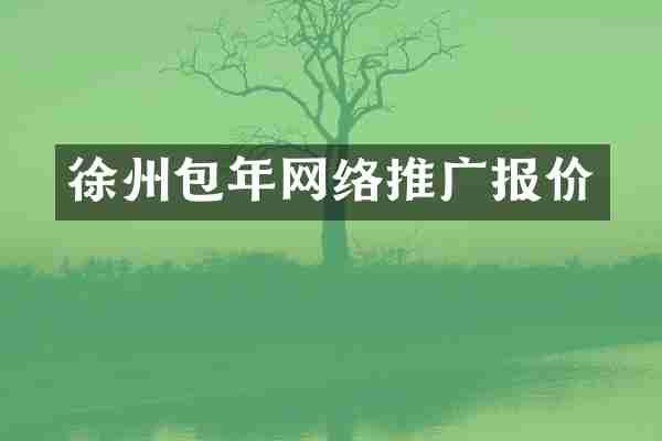 徐州包年网络推广报价