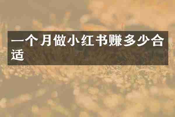 一个月做小红书赚多少合适