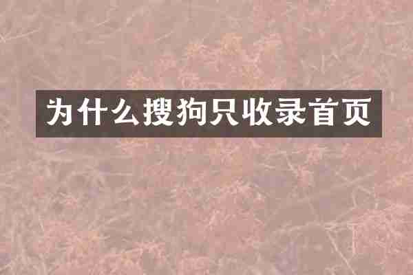 为什么搜狗只收录首页