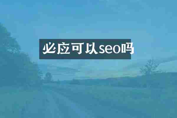 必应可以seo吗