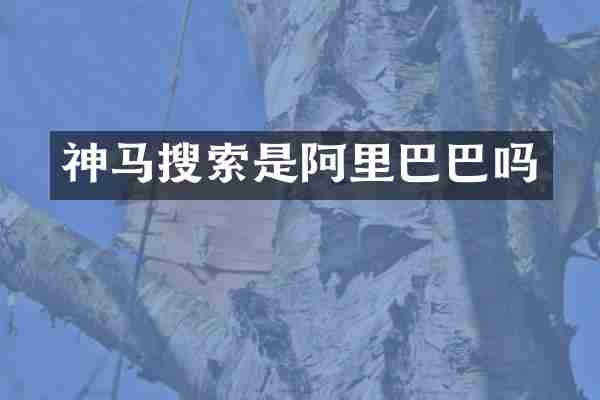 神马搜索是阿里巴巴吗
