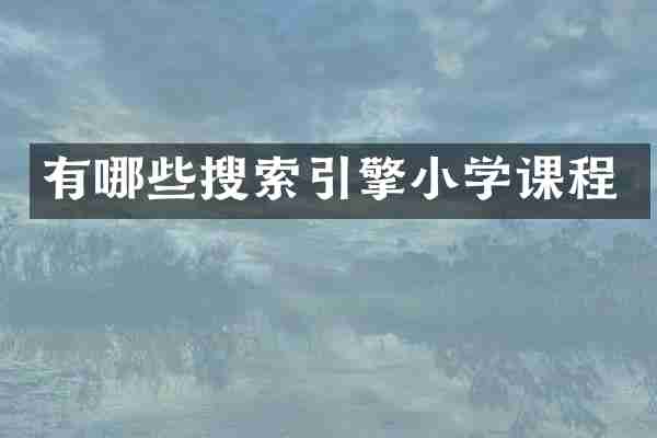 有哪些搜索引擎小学课程