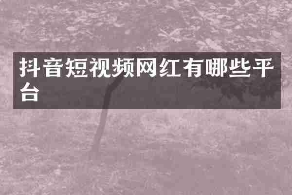 抖音短视频网红有哪些平台