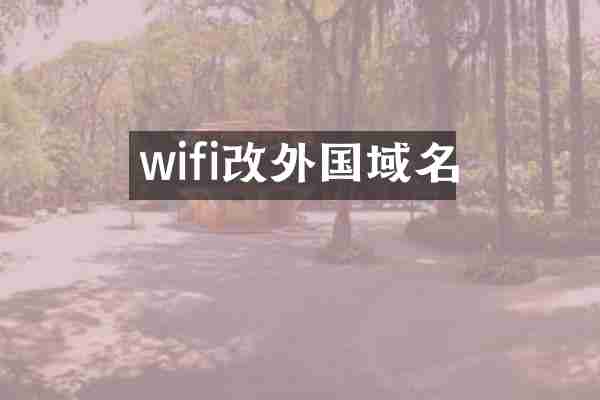 wifi改外国域名