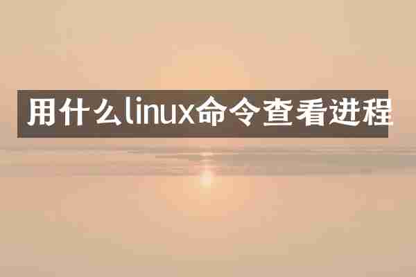 用什么linux命令查看进程