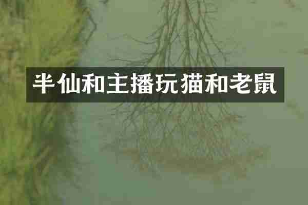 半仙和主播玩猫和老鼠
