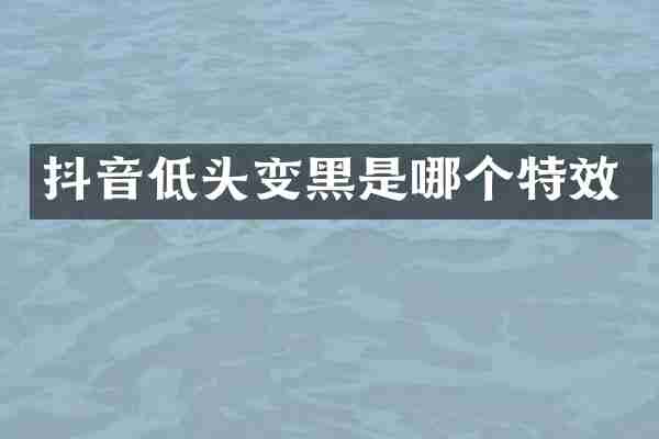 抖音低头变黑是哪个特效