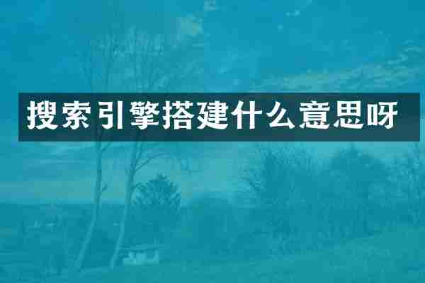 搜索引擎搭建什么意思呀