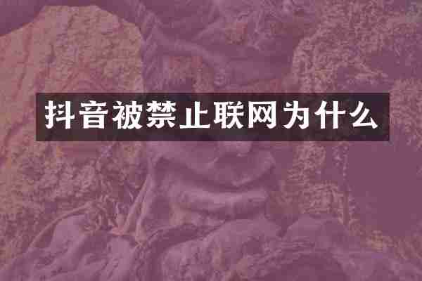 抖音被禁止联网为什么