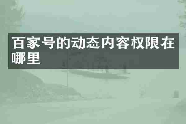 百家号的动态内容权限在哪里