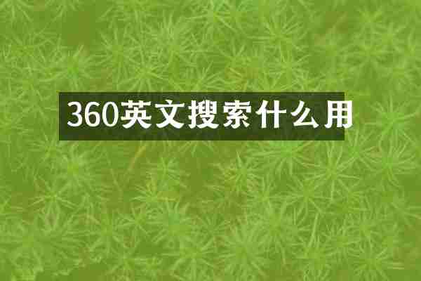 360英文搜索什么用