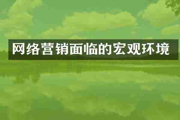 网络营销面临的宏观环境