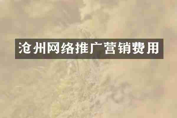 沧州网络推广营销费用