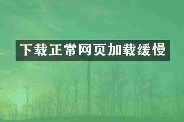 下载正常网页加载缓慢