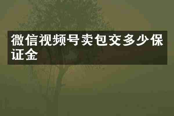 微信视频号卖包交多少保证金