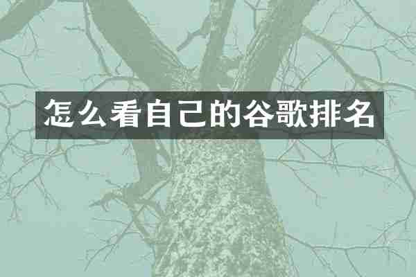怎么看自己的谷歌排名